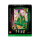 Klocki LEGO® LEGO Wicked 75685 Obraz Emerald City